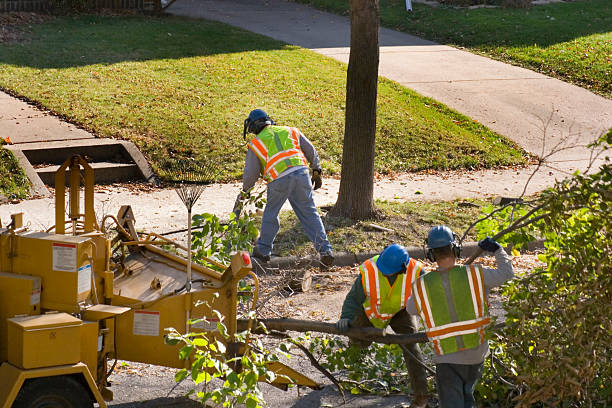 Best Lawn Irrigation Installation and Maintenance  in Pelham, GA